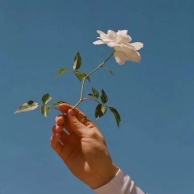 gorebox中文版下载